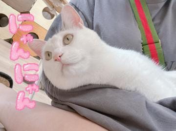 「猫とワタシ」07/26(金) 18:40 | 【究極の癒し系】まいちゃんの写メ日記