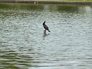 高樹|東京都デリヘルの最新写メ日記