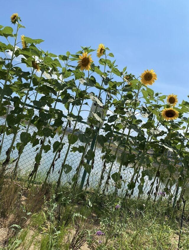 「おはよう〜☀️」07/27(土) 05:48 | 栗山ちあきの写メ