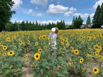 「無事帰宅」07/29(月) 19:02 | きなこ☆STANDARDの写メ日記