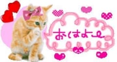 「『☆100分1万円☆『超潮潮祭』激安特別キャンぺーン!!!』」09/08(金) 13:43 | レイカの写メ・風俗動画