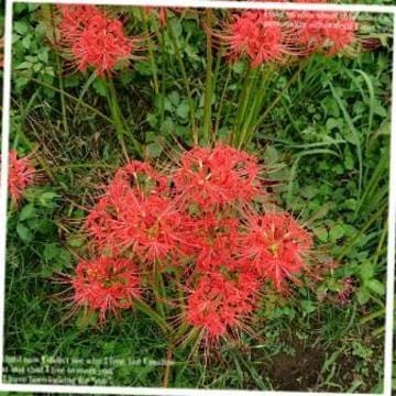 「こんにちわぁ♪」09/22(金) 10:57 | いずみの写メ・風俗動画