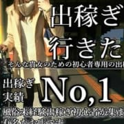 「高知で1番真面目なお店ですので優しいお客様どうぞよろしくお願いします笑」11/18(月) 22:30 | DIVA-ディーバ-【DIVAグループ】のお得なニュース