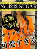 No.4242 SHUGAR|札幌ダイナマイトでおすすめの女の子