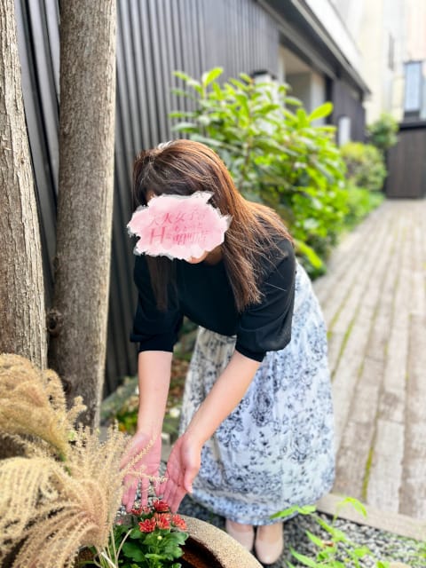 higashino youko
