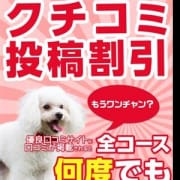 「何度でも2000円オフ!!☆★☆口コミ投稿割引2000円オフ☆★☆」08/18(土) 00:00 | 岐阜ちゃんこ 大垣羽島安八店のお得なニュース