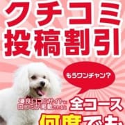 「何度でも2000円オフ!!☆★☆口コミ投稿割引2000円オフ☆★☆」01/23(水) 00:00 | 岐阜ちゃんこ 大垣羽島安八店のお得なニュース