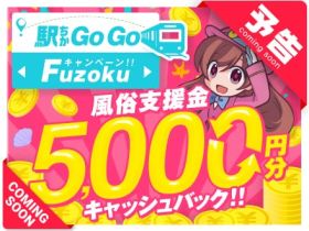 GoGoFuzokuキャンペーン