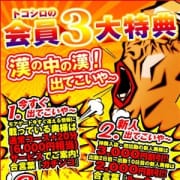 「会員率95%→お得のみ!デメリット一切ナシ!【モアポ会員】」11/18(日) 06:40 | 所沢人妻城のお得なニュース