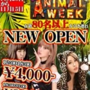 「在籍80名を堂々引き連れNEWOPEN-」11/08(金) 13:25 | 高円寺キラキラのお得なニュース