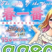 「3,000円以上お得に遊べるチャンス!」03/22(金) 23:58 | ぷるるん小町京橋店のお得なニュース