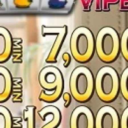 「毎月7の付く日は!?VIP BONUS!」12/05(火) 03:46 | VIP信用金娘のお得なニュース