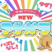 「毎日10時~12時、22時~ラストで開催 新★ガラポン」06/18(金) 21:02 | ミスターダンディーのお得なニュース