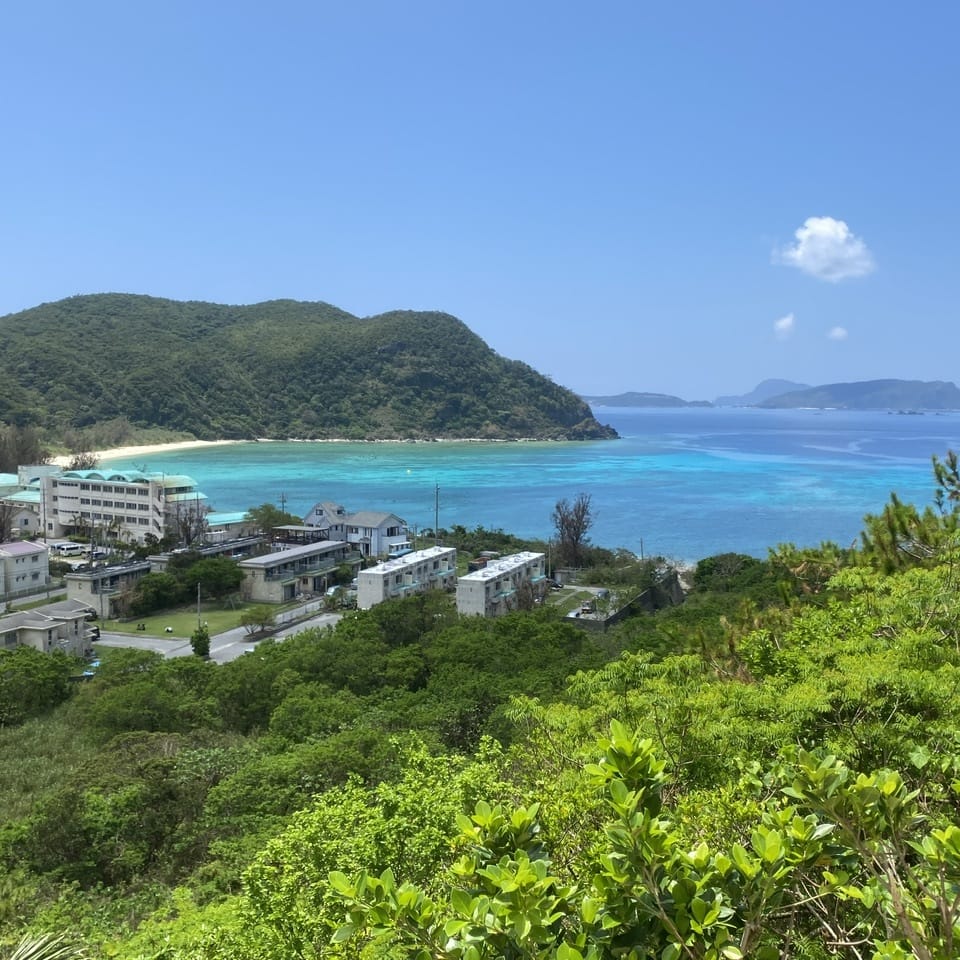 とっしーの画像