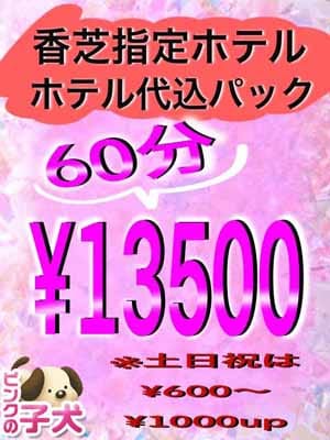 「☆香芝ホテル代込60分￥13500☆」04/18(木) 20:20 | ピンクの子犬のお得なニュース