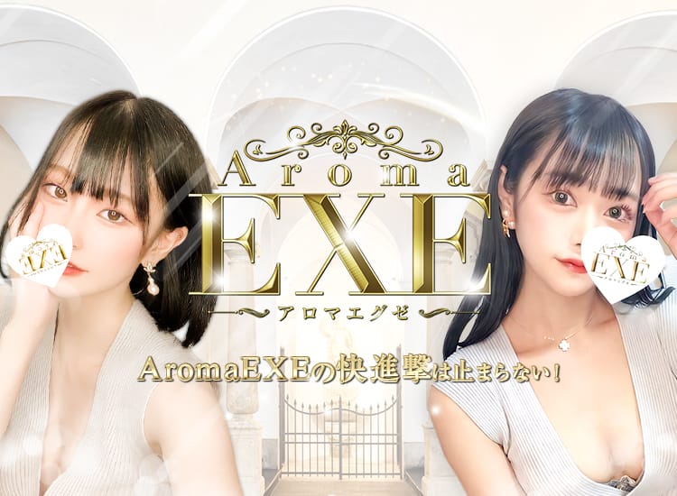 Aroma EXE（アロマエグゼ） - 錦糸町