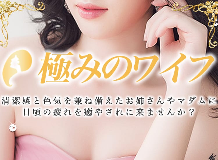 極みのワイフ