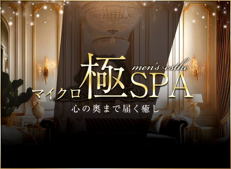 マイクロ極SPA