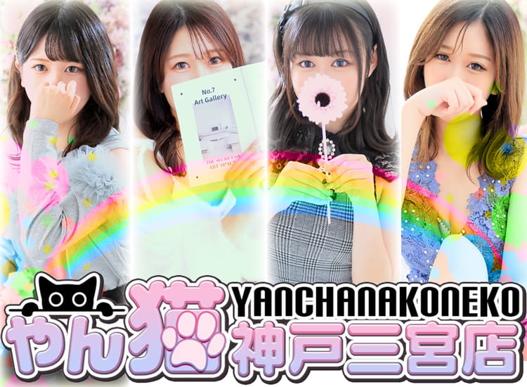 やんちゃな子猫神戸三宮