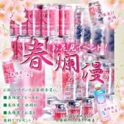 「お花見イベント開催中！ビールか氷結かお茶が貰えるよ！」04/18(木) 16:19 | 新宿女学園のお得なニュース