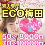 「ご新規様限定イベント開催♪」06/23(土) 03:07 | スピードエコ梅田のお得なニュース