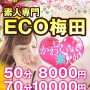 「ご新規様限定イベント開催♪」12/13(木) 22:37 | スピードエコ梅田のお得なニュース
