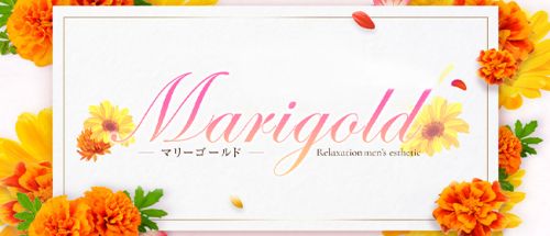 Marigold~マリーゴールド
