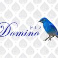 Domino（ドミノ）自由が丘店