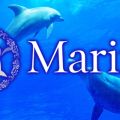 Marine（マリン）