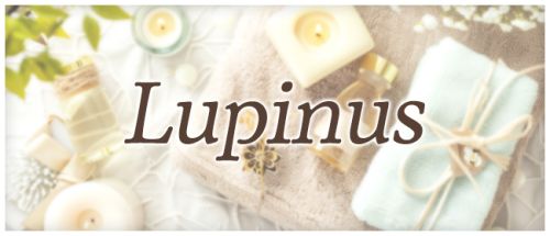 Lupinus(ルピナス)