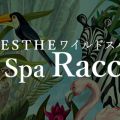Wild Spa Raccoon