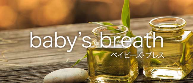 Baby's breath（ベイビーズブレス）