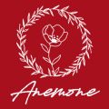 Anemoneアネモネ