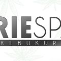 IRIE SPA（アイリースパ）