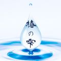 椿の雫