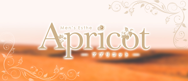 Apricot（アプリコット）(八王子メンズエステ)