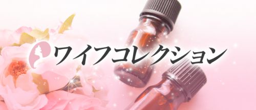 ワイフコレクション