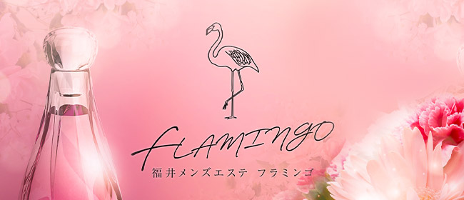 福井メンズエステ『フラミンゴ～FLAMINGO～』(福井市内・鯖江メンズエステ)