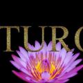 KUTUROGI