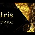 Iris （アイリス）