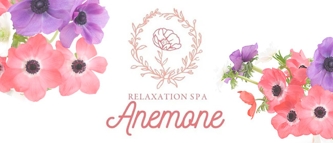 Anemoneアネモネ