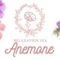 Anemoneアネモネ