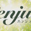 enju -エンジュ-