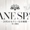 ANE SPA ～20代のセクシーなお姉様～ 本八幡店