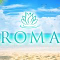 AROMAX