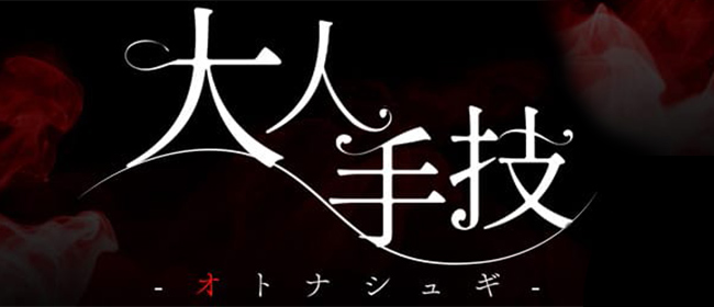 大人手技-オトナシュギ-