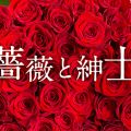 薔薇と紳士