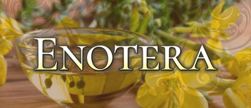 Enotera(エノテラ)