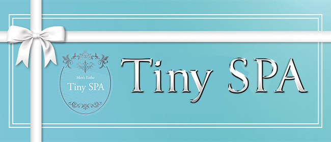 Tiny SPA