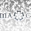 アロマギルド 津田沼店